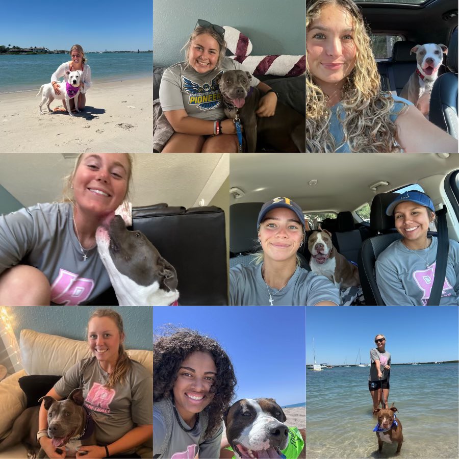 Indian River Softball: Character, Culture and Community !!! Team spending the afternoon helping the St. Lucie County Humane Society, for Senior Skip Day and Doggie Day Out !!! Caring for God’s Creatures and Promoting Animal Adoptions and Fostering 🐾💙🙂✝️
Contact: 772.238.5631