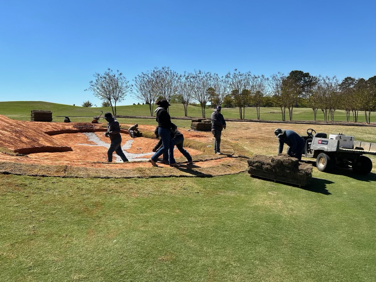 Bulk Aggregate Golf tweet media