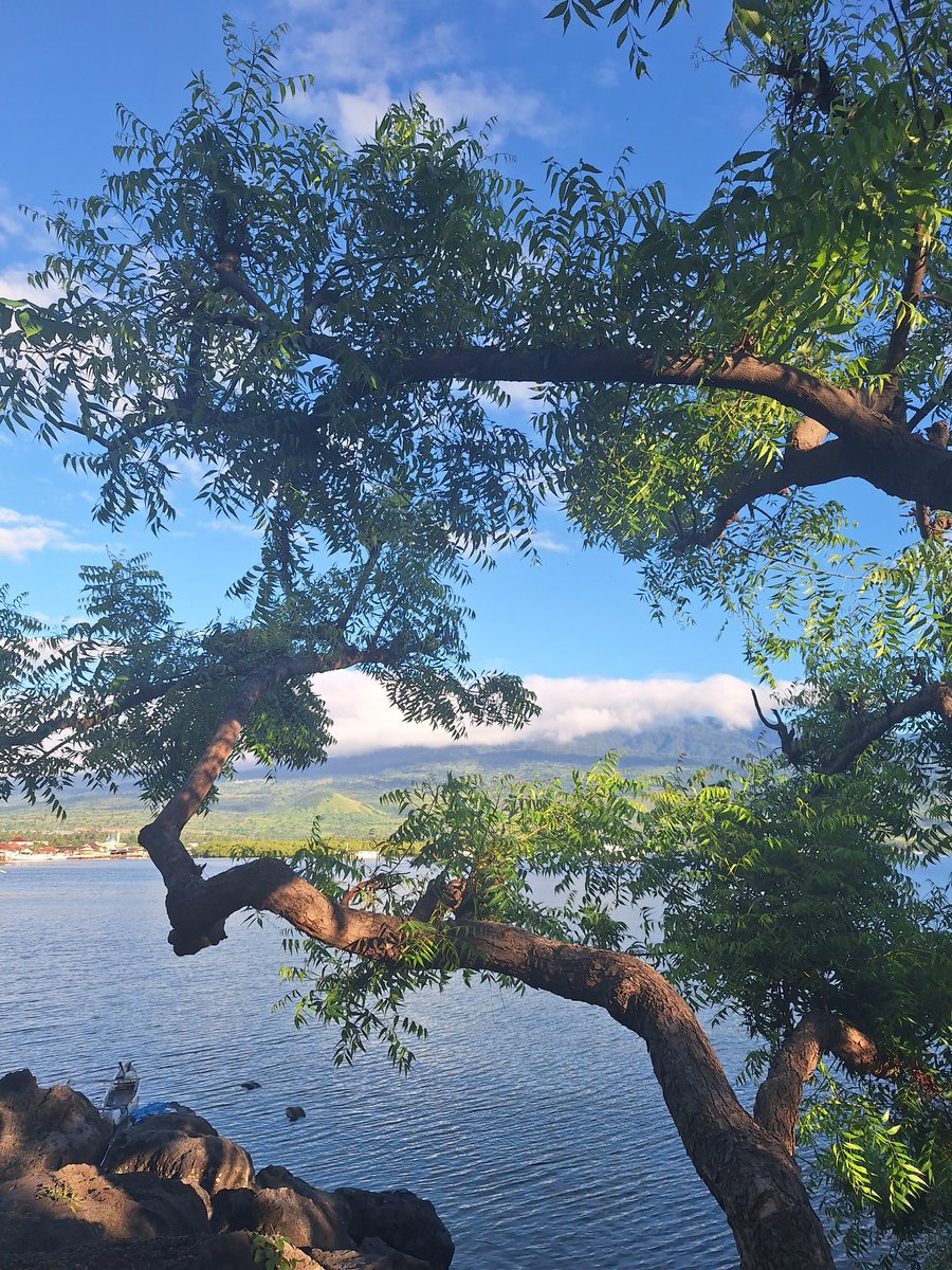 NafiraAr's tweet photo. how beautiful are you, still about rinjani. pov from goa biawak😍 https://t.co/TgHhQ2SURW