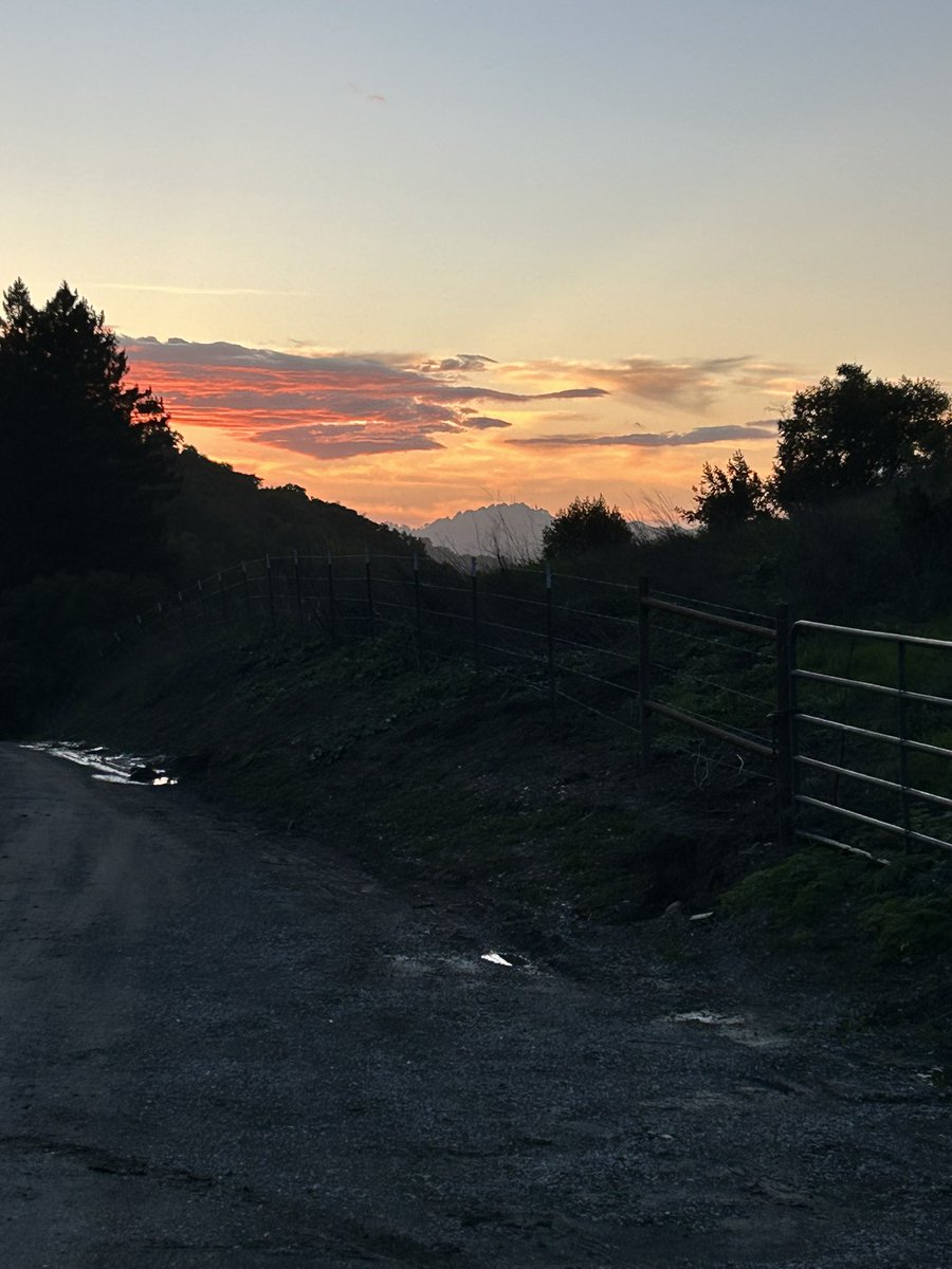 stuartkirsch's tweet image. May the wonders of Shabbat bring us each closer to peace and to wholeness. Let us build our broken world from love. #ShabbatShalom