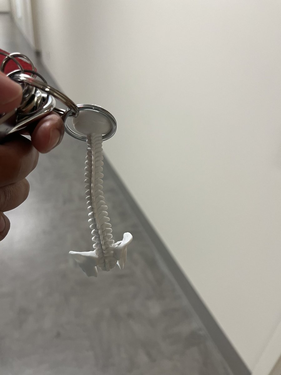abdelbarrspine's tweet photo. It was great having Dr.  Yunus Kuntawi Aji from Indonesia observe my clinics and OR this week. It is in the bidirectional flow of information and education that we learn and ultimately help our patients. Thanks for the spine keychain:) https://t.co/M0Y0ahPqwq