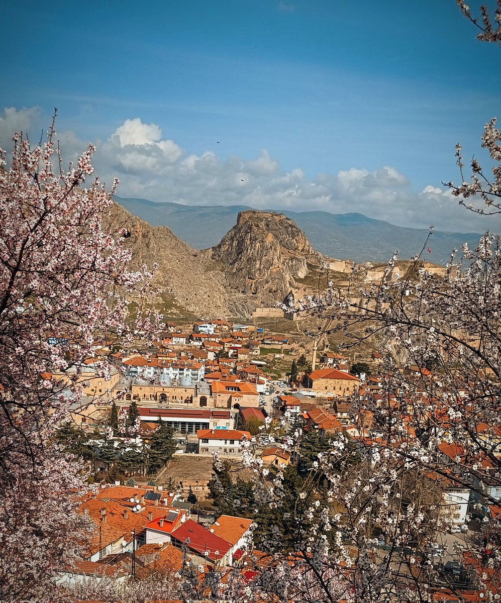 BEYAZ...
Bir bademin altına, yorgun, oturmak biraz,
Ayrı ayrı seyretmek çiçek açmış her dalı.
Artık bütün renklerden, artık uzaklaşmalı:
Beyaz işte, aylardır gözümde tüten beyaz.

İş bitti... Uzaklarda ilk ümitler gibi yaz,
.....
Şair: Ziya Osman Saba
Koşa Kavak Mevkisinden TOKAT