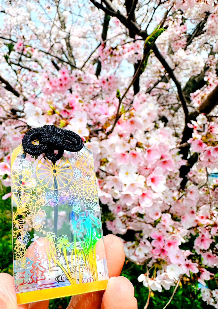 休みなくて花見する暇ないんで配達中に花見🌸
🌸〜先を見通す御守りを添えて〜🌸
#桜
#花見
#堺の大鳥大社
#先を見通す御守り
#心機一転頑張ってね
#今年こそ会えますように