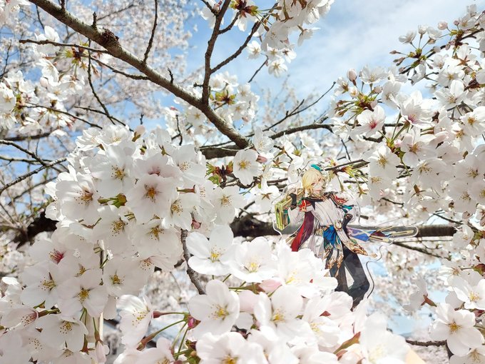 Twitterのコスプレ画像24