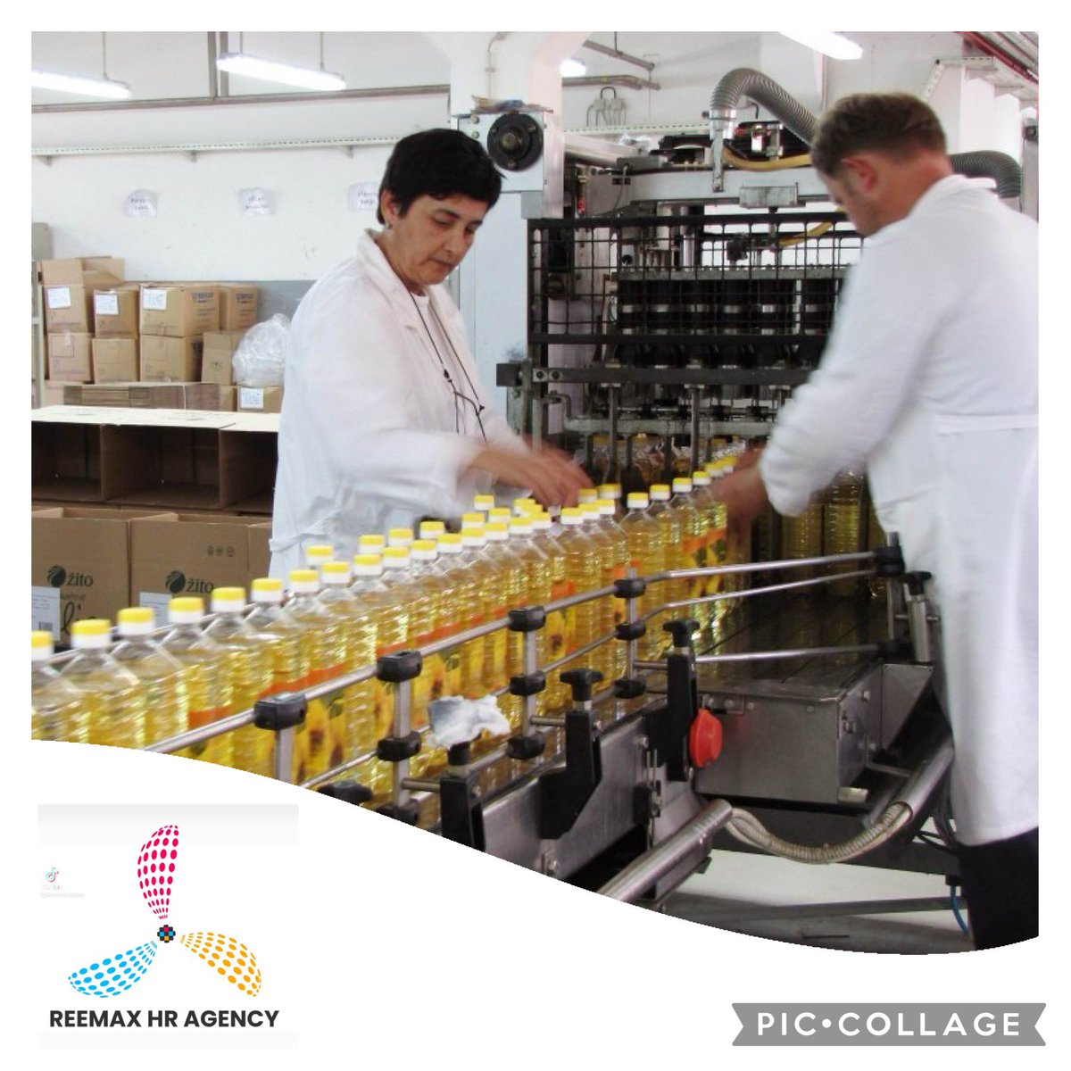 GroupReemax's tweet image. ‼️tražite radnike u tvornici ?!
▶️odmah nas kontaktirajte za informacije
☎️ + 385988365869
📧 info@reemax.eu  #factoryworker #radniku #radniktvornici #punjenjeboce  #zagreb .#hvraska