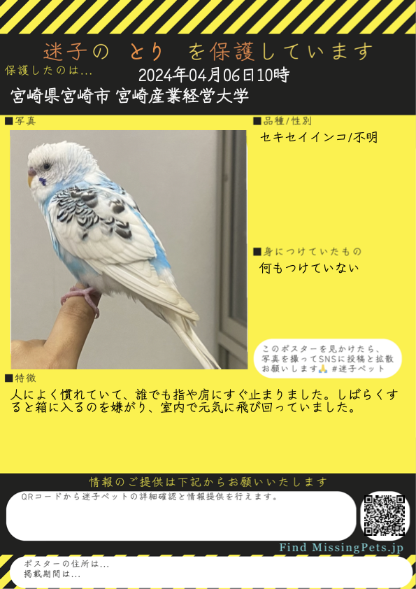 📢拡散希望
宮崎県宮崎市 で とり を保護しました

セキセイインコ

[詳細]
⬇️飼い主の情報をお届けください🙏
find-missing-pets.jp/dashboard/prot…

[検索ワード]
#迷い鳥 #鳥好きさんと繋がりたい
FindMissingPets 🐦 迷子鳥 迷子ペット 探しています