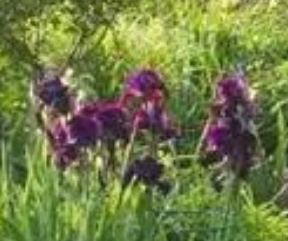 hulaan ko na lang 😭