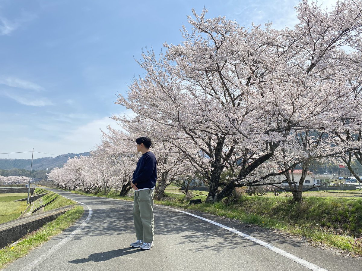 nn6kk's tweet photo. 岡山で花見
満開で綺麗やった https://t.co/PAVpVrWcGp