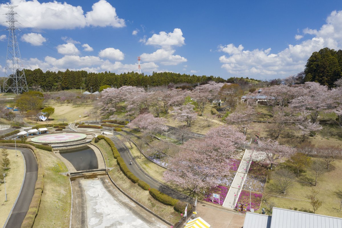 hollyhock_staff's tweet photo. 📢4月11日(木)開催
#那珂市の日 PRイベントの際に
表敬訪問の様子もご覧いただけるようになりました❗️

この日から #八重桜まつり🌸もスタート✨
ぜひ素敵なさくらと共にお楽しみください😊

⏰16:00頃～
🏟静峰ふるさと公園
👉https://t.co/wJdcgdTVIM

#那珂市
#水戸ホーリーホック https://t.co/8D5KtYqXsh