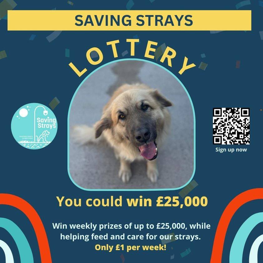 Want a chance to win £25,000 or a Sainsbury’s e-gift voucher worth £1000?💰 With Saving Strays Lottery, you can support us by buying OneLottery tickets. FOR ONLY £1/week, you could win up to £25,000 while helping us to feed and shelter strays! rb.gy/kz1w7 Good luck!
