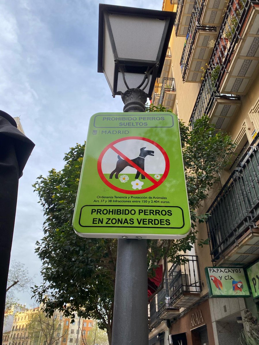 marela84's tweet photo. @Lineamadrid @MADRID @MasChamberi ¿Por qué no se pueden soltar ya a los perros en los horarios establecidos en la #Plaza de #Olavide? La plaza de Olavide se ha convertido en un nuevo #espacio ornamental para el disfrute de los usuarios de #bares y #terrazas, no para el resto!!!! https://t.co/nR3y9I58gY