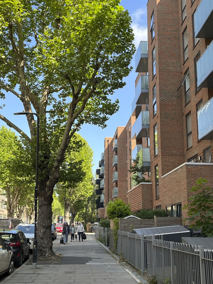 Picture this scene without the green ❌🌳❌ Suddenly, it becomes a far less attractive place to live. Our built spaces desperately need trees to soften the grey, clean the air, connect with nature, and lift our spirits... 👉So, let's fill ALL our streets with trees ✔️🌳✔️