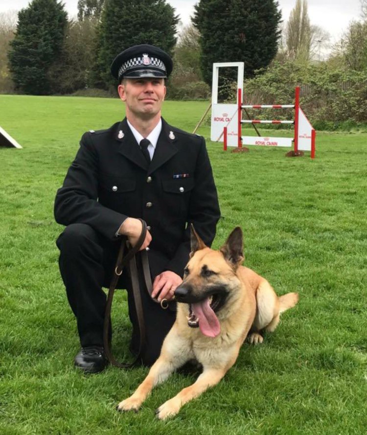 Today we remember Police Dog MITCH After a very short illness Mitch passed away 4 April 2022 Thinking of PC Magin & family Mitch was loyal & fearless He served faithfully for 7 yrs on the frontline Always remembered with pride & love Essex Police Dog Mitch essexretiredpolicedogs.co.uk/in_memorium.ht…