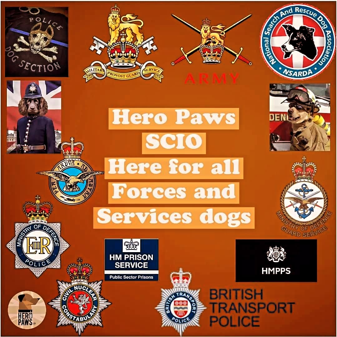 Just a wee reminder that you are never alone We are a military dog charity as ex military dog handlers we once stood in the shoes many stand in. Over the last year, more and more forces and services have reached out, and we continue to be there for each and every guardian