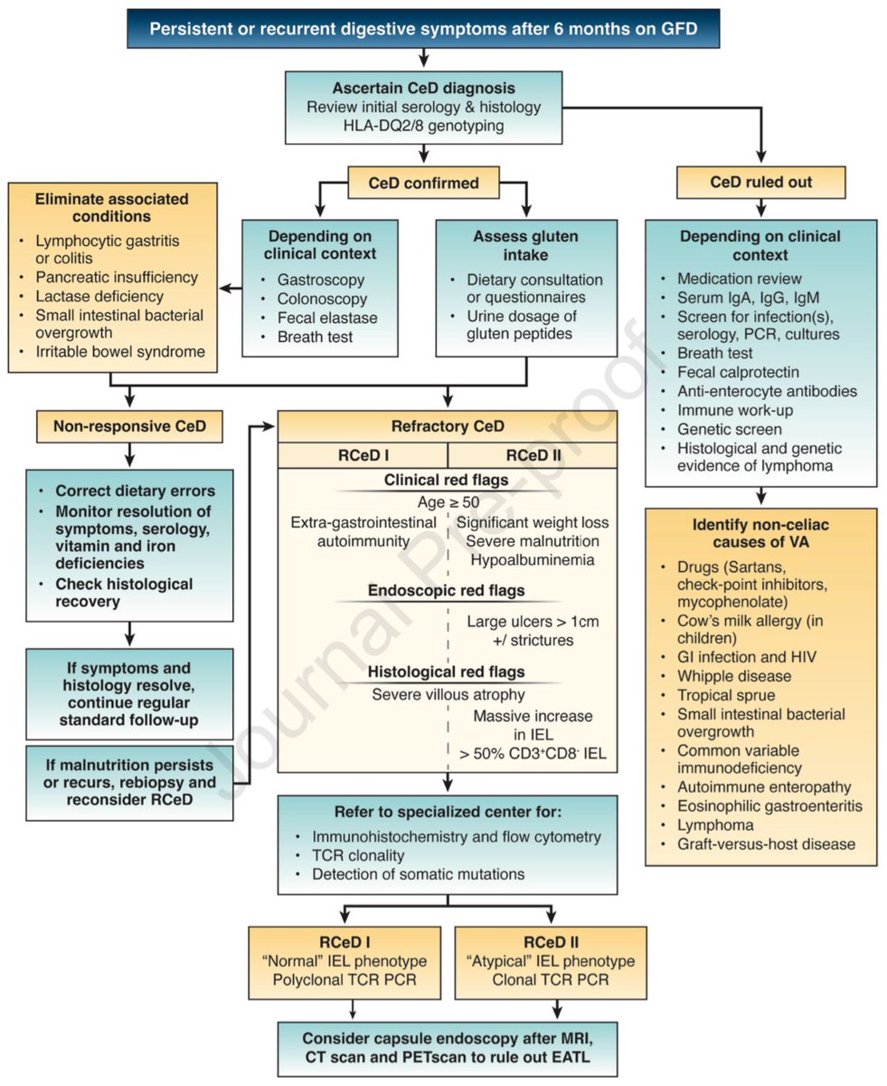 Algorithm for coeliac disease if symptoms persist despite proper gluten free diet @AGA_Gastro gastrojournal.org/action/showPdf…