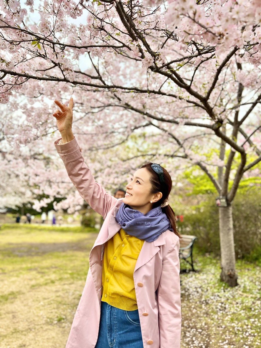 2024年の桜とわたし 可愛いなー🌸さくら 桜に感謝❤️🌸 #マルシア #スウィーニートッド #マルシアtiktok #癒し #感謝 #マルシア35周年