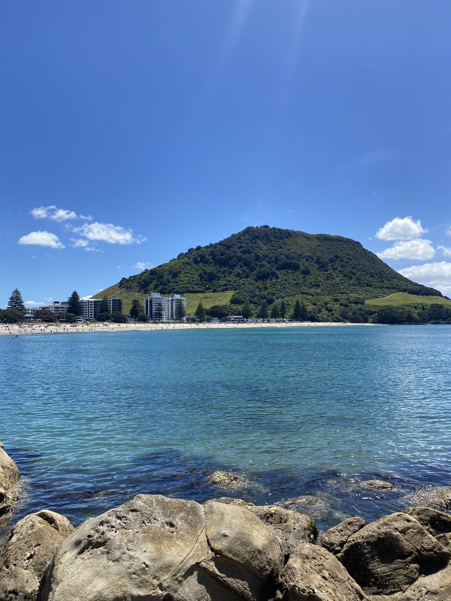 shae ꫂ᭪ tweet media