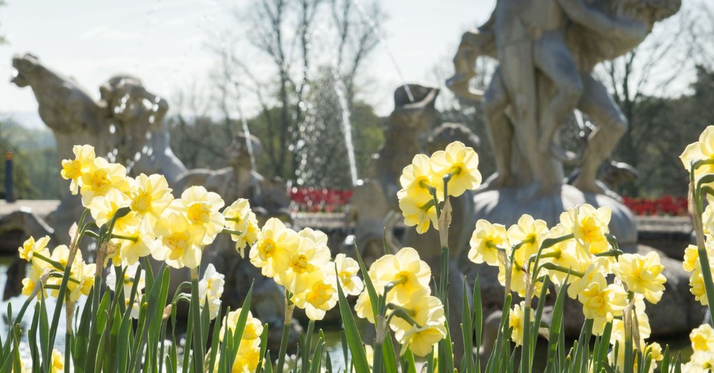 Spring is well underway here at Waddesdon 🌷⁠ ⁠ We love seeing the Daffodils in bloom at Daffodil Valley.⁠ ⁠ What is your favourite thing about Spring?⁠ #spring #springflowers #Waddesdon