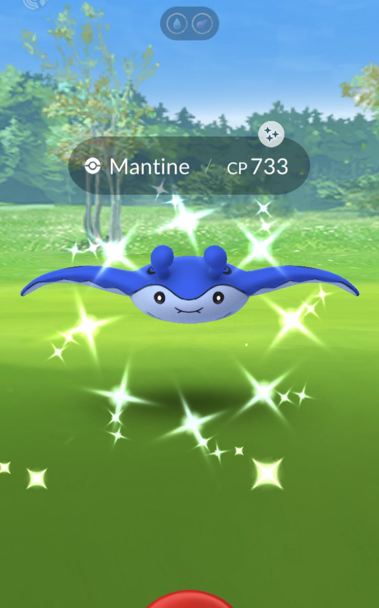 🐬🐳🐋 え〜うれしい〜！可愛い💙 お家で野生からGET！ とりあえずイベントの出て満足💙 #ポケモンGO #ポケモンイロチ