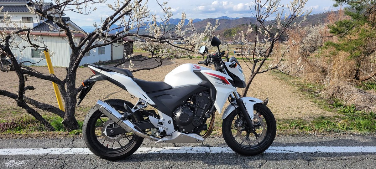 長野の桜の名所はどこ？