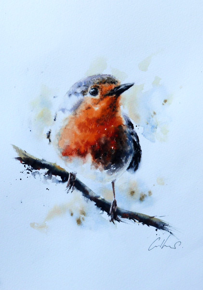 Hello Robin, watercolour. #watercolour #art