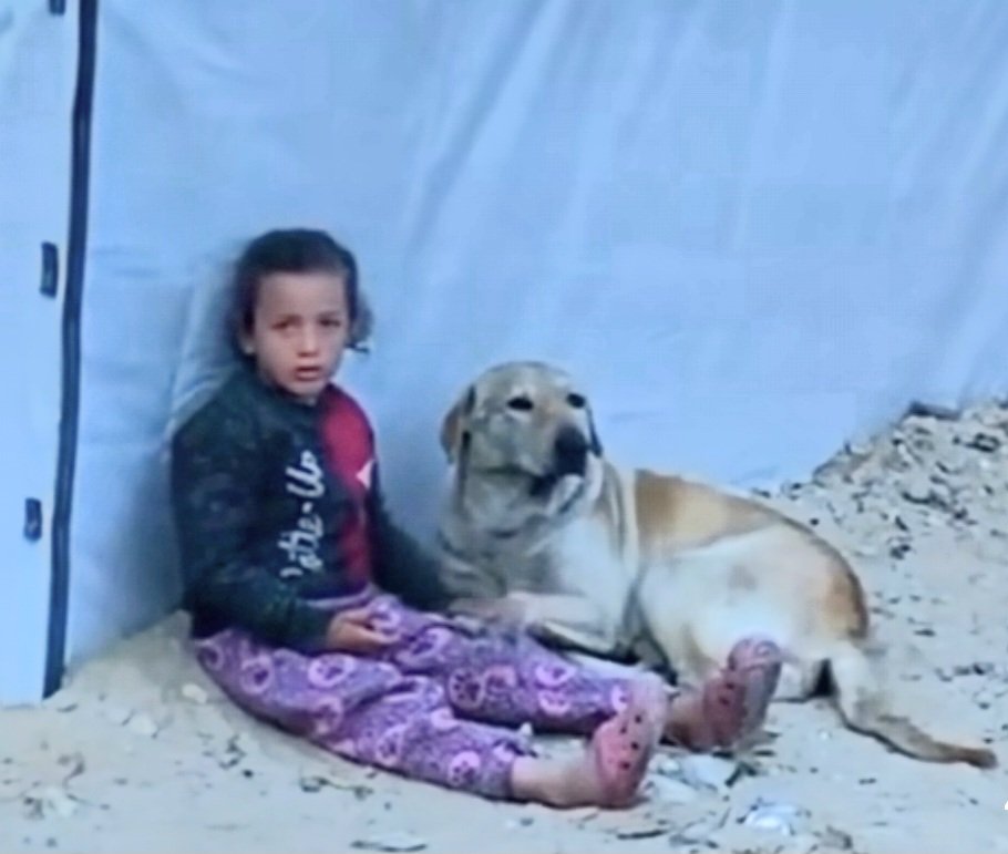 A displaced little girl whose family was murdered by Israel 🇮🇱. Sitting in a camp in Gaza.