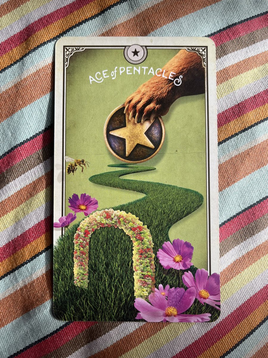 FatGayTarot's tweet image. The #AceOfPentacles from the fun and beautiful #CuriousCreatures #TarotDeck is our #TarotCardOfTheDay today.

The ace of pents is a great time for new beginnings in the material world. This could mean something work-related or financial.