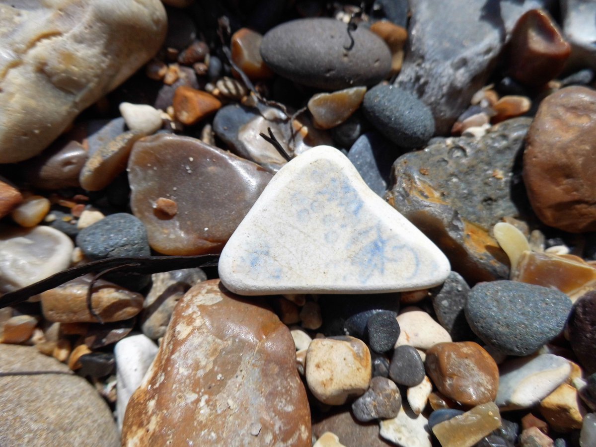 Beachy Bits and Bobs!! #beachfinds #seaglass ##beachcombing #curiosities #oceanplastics #cullercoats #treasure
