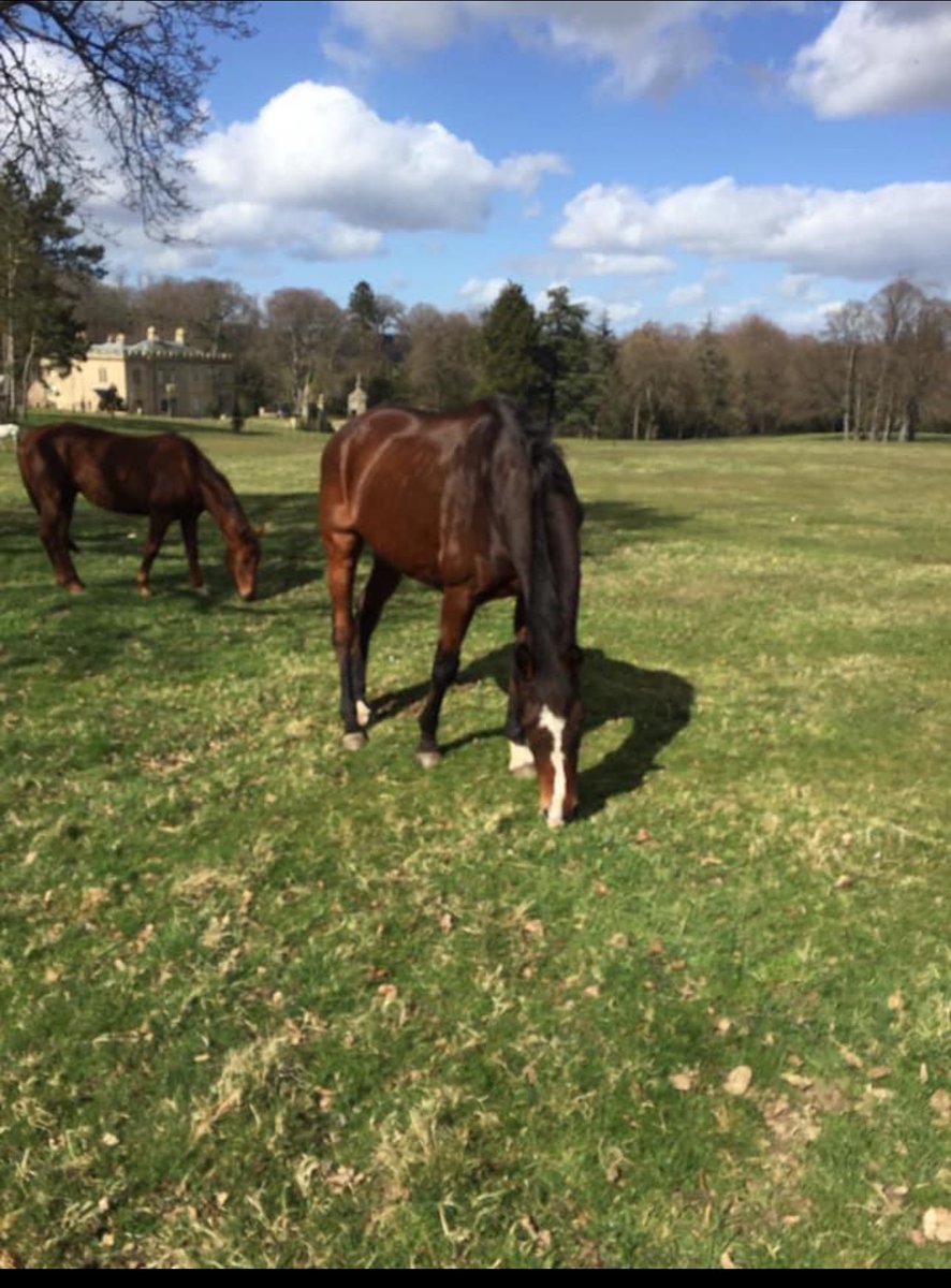 captainnash's tweet image. The real @captainnash aka Henry , 22yrs young , loving life 😘