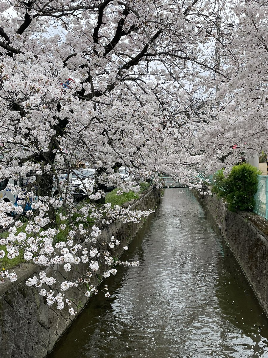 今日はお弁当を持って
深北緑地と
八尾の玉串川の桜並木に行ってきました🌸
一年前まで住んでいたので
懐かしかった🌸🌸🌸

#me組
#ワンダー765
#mmm765
#PS765
#まちゃお765
#おのえ765
#フラジャン765
#765MAF
#シン765
#MOVE765