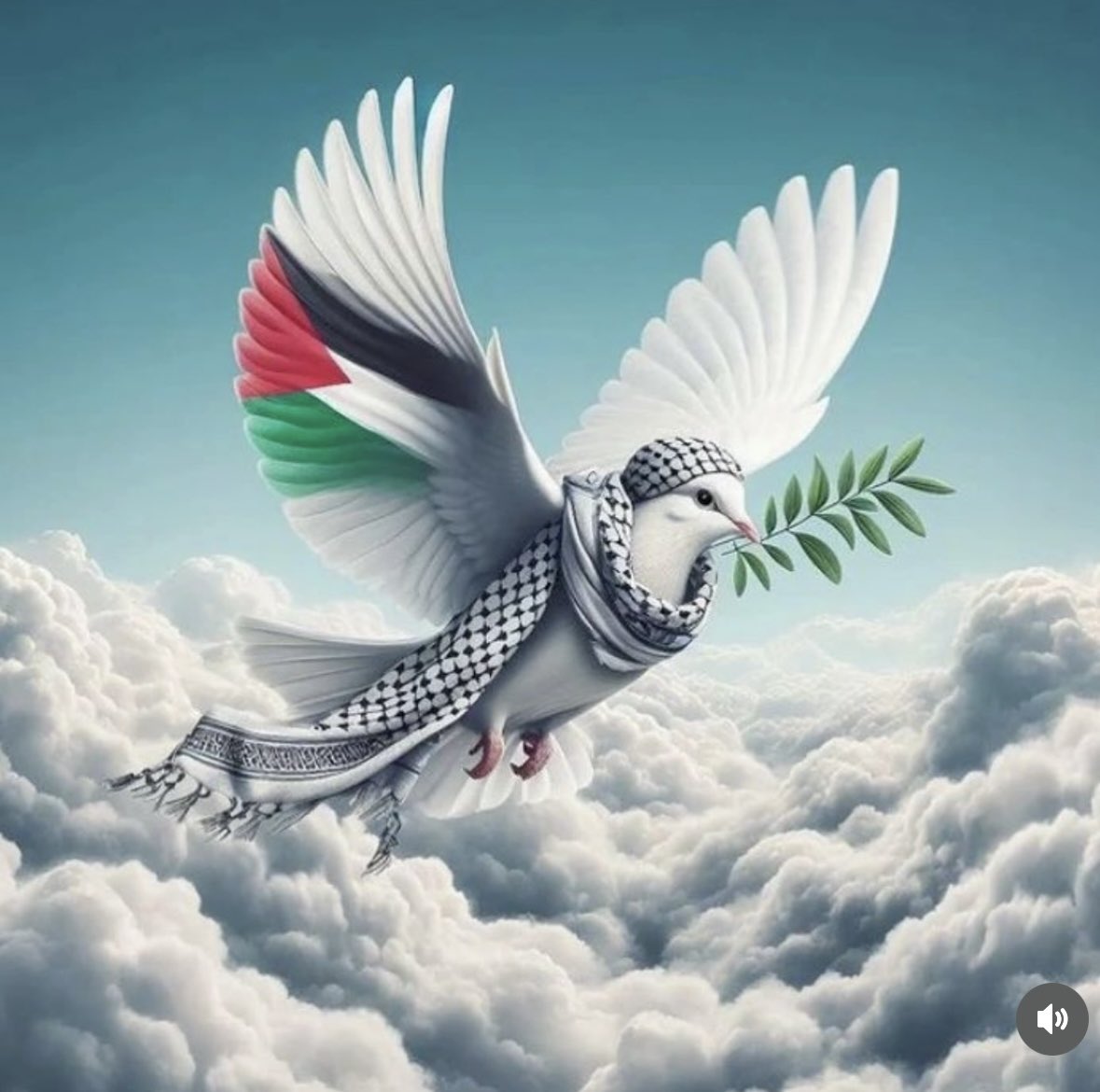 69330_mesyeux_'s tweet photo. #CeasefireInGazaNOW
#PalestineWillBeFree
Nous dénonçons le #Zionism qui n’a rien à voir avec le #Judaïsme‼️
RT svp
🙏🤲❤️😪🇵🇸🇵🇸🇵🇸
#WestandwithPalestine 🇵🇸❤️
#WestandwithPalestine 🇵🇸❤️
#GazaAttack #ResistanceEconomique #ZeroConso4Peace #ZeroConso4Gaza
#Gaza #Gaza_Genocide https://t.co/XSOlzLem6T