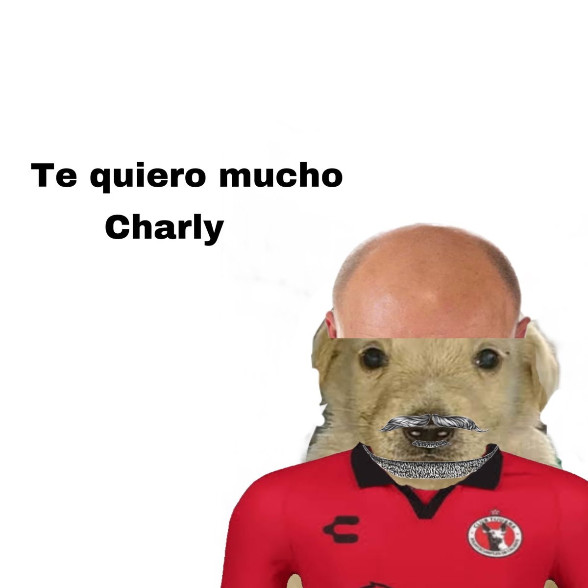 Xolos 🐕 (@Xolos) on Twitter photo 2024-04-06 03:59:58