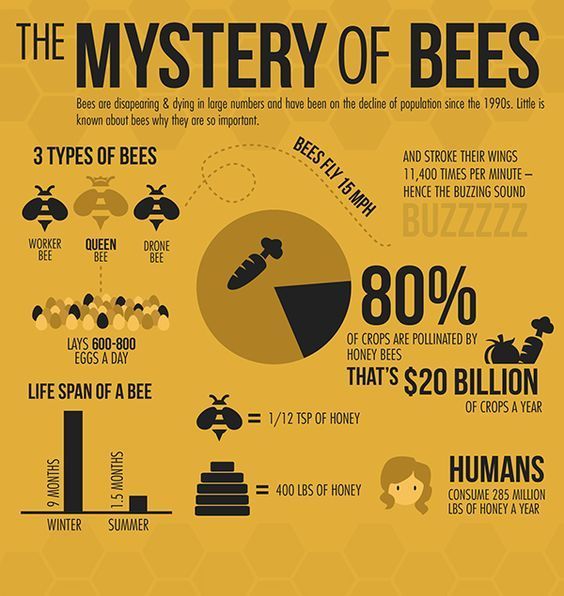 🌎Honor #MotherEarth for #EarthDay2024 🌎 🚜Bees pollinate our crops providing a vital service 🐝Population🔻80% ⚠️Bee-killing pesticides must be banned 🚨Please Sign & Share the Petition🚨 change.org/SaveTheBee #SaveTheBees 🌻 @BeeAsMarine #Pollinators #EarthMonth #Climate