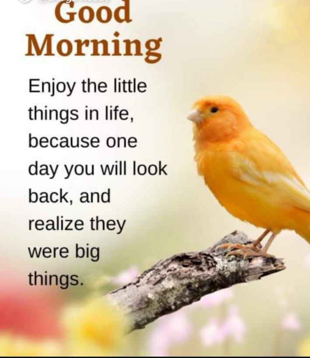 Good morning everyone 🙏 Happy weekend 💐😊