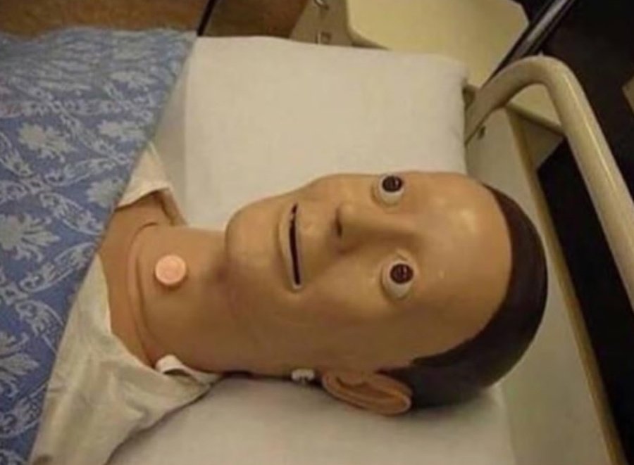 Seño M.J. tweet media