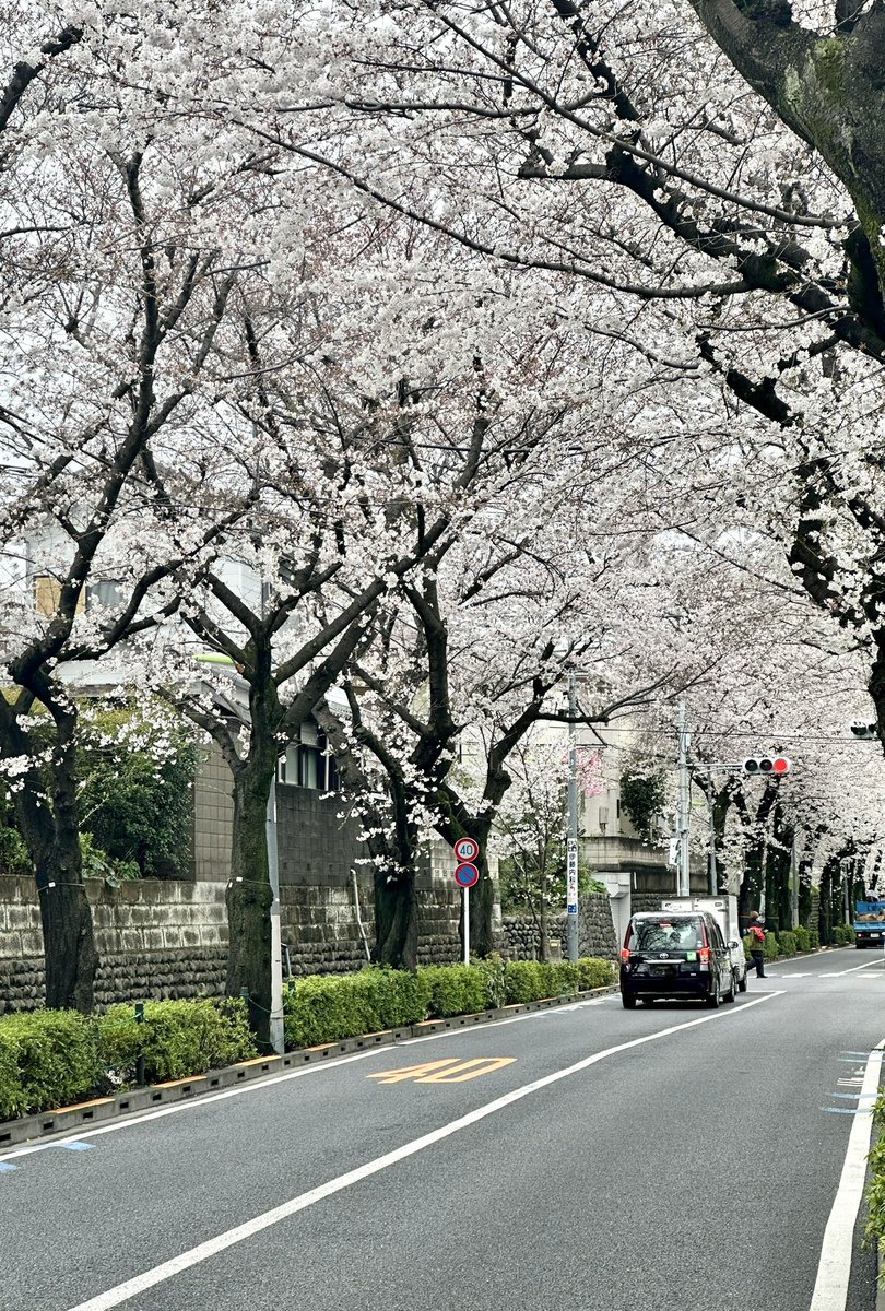 🌸おとといの🌸