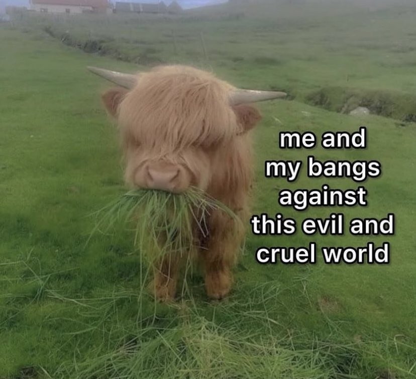 Mr. Gerard Way altered my brain chemistry tweet media