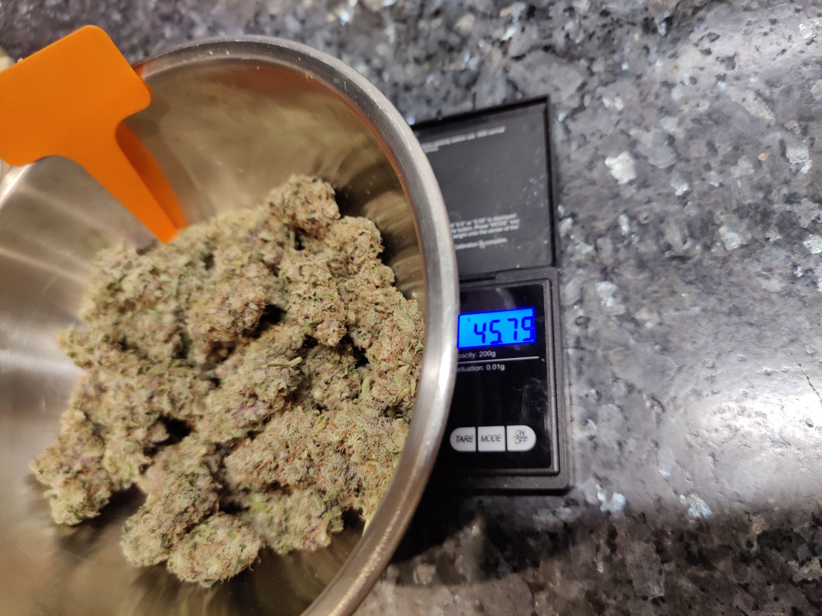 DjangoElRey's tweet photo. GuMo #Weedmob 🥱☕️ #Nachtschicht
... heute Nacht war #Ernte Teil 2 🌾 (+ 120 g)
Es wurde erneut nach 8 Tagen Trocknung eingeglast.
#CanGIstDa #CanG #cang0104 https://t.co/gdtAwUNHtK