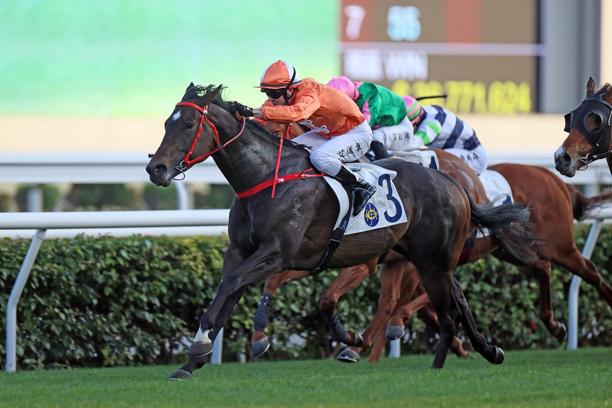 Avdulla chases more success with Howdeepisyourlove. #HKracing @LeoSchlink writes. Read here 👉 racingnews.hkjc.com/english/2024/0…