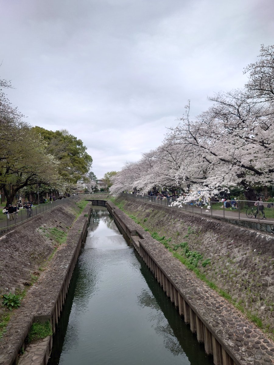 こんにちは🌸 新社会人になって 最初のお休みの方も多いでしょうか？？ 緊張と緩和のバランスをタイセツに まずはゆっくりお休みください😁 私の週末は仕事から切り替えて 子どもたちと野球です⚾ 花より野球です… 来週も頑張りすぎず よろしくお願いいたします🙇 担当：たか