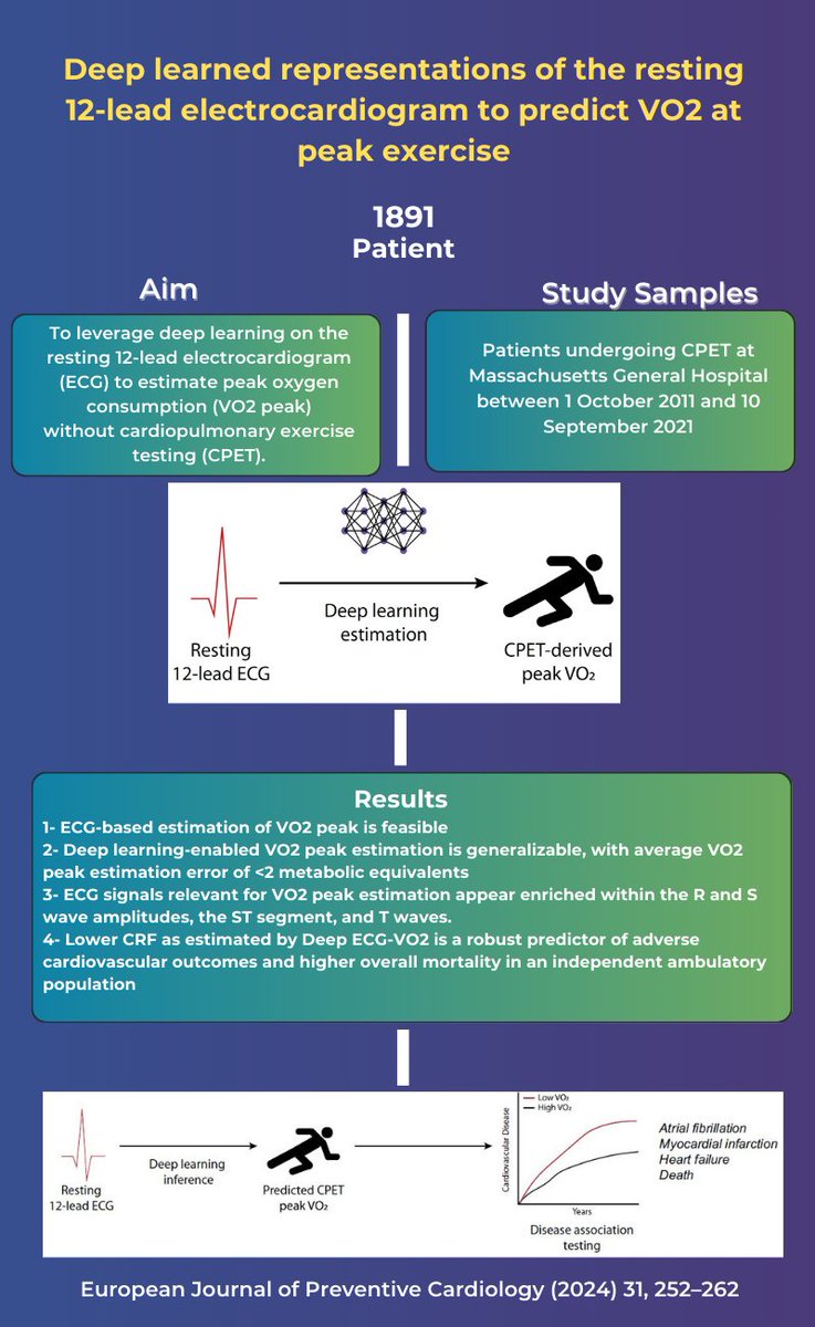 ** Skip the treadmill test? ‍♀️ Deep learning analyzes your ECG to estimate fitness!** l24.im/L4rMPx #EAPCYoung #EAPC_ESC #ESCPrev2024 @PeroneFrancesco @sampathkpt @GawalkoMonika @mspartalis5 @MariaPanaMd @escardio