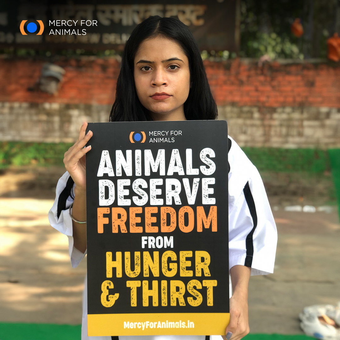 Animals deserve freedom from hunger and thirst.