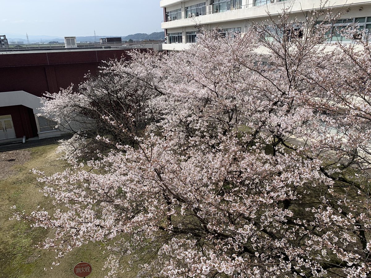 tianJten's tweet photo. https://t.co/Pi27TCod6a