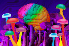 'Psychedelics aren't just about visuals. Research shows they can offer profound therapeutic benefits, from easing anxiety and depression to sparking creativity and personal insight. Let's explore the potential of psychedelics to heal minds and expand consciousness.