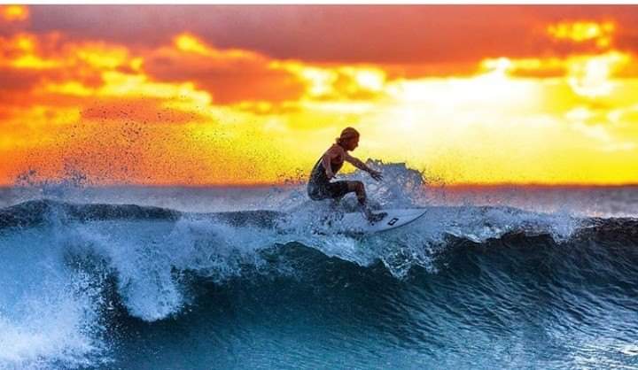 Simon🖤🧡 tweet media