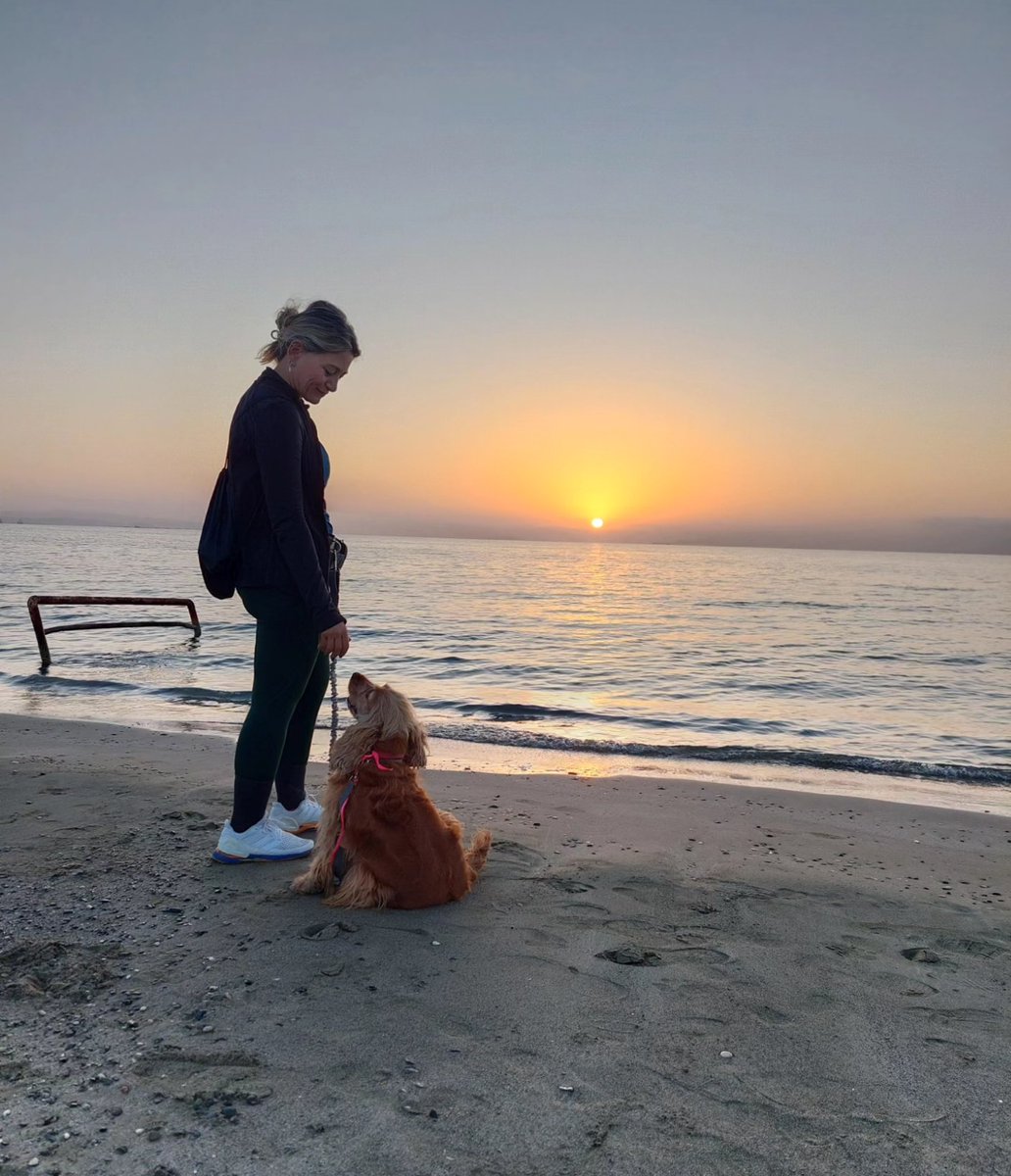 KaterinaChrysos's tweet image. While you were asleep 🌻🌅🐚🌊#limassol #lemesosmou #myisland #sunrise