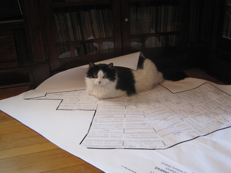 meow2you's tweet photo. "Take another look, human. Don't you know all roads lead back to me?" 😻😹😻😹
#ReadARoadMapDay #CaturdayEve 

@ThePhilosopurr @GeneralCattis @HarryCatPurrs @RealCatFanatic9 @LuminousNumino1 @TERRYW_UK @PeterRABBIT67 @briano29 @eliznoelle @EringoB02429272 @lymeist https://t.co/tumgmiPmoA