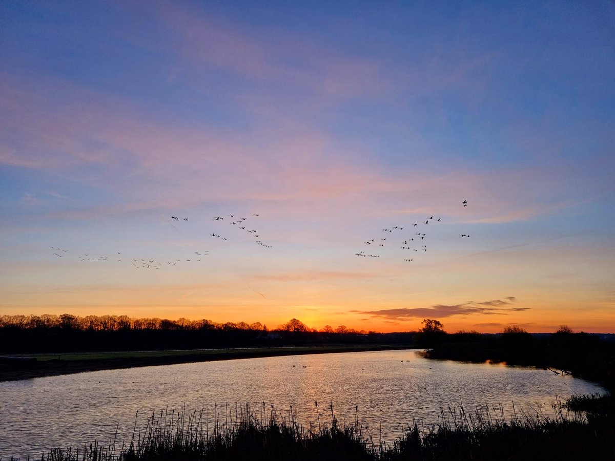 Het zonnetje komt er aan. Fijne zaterdag😀 #natuur #landschap #lente #Rhenen #ElstUt #Elsterbuitenwaard #zonsopkomst #mooieluchten