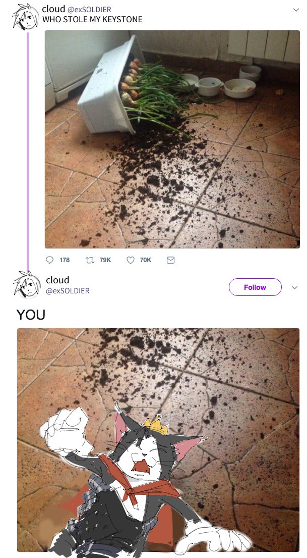 🌿💛🦆 tweet media