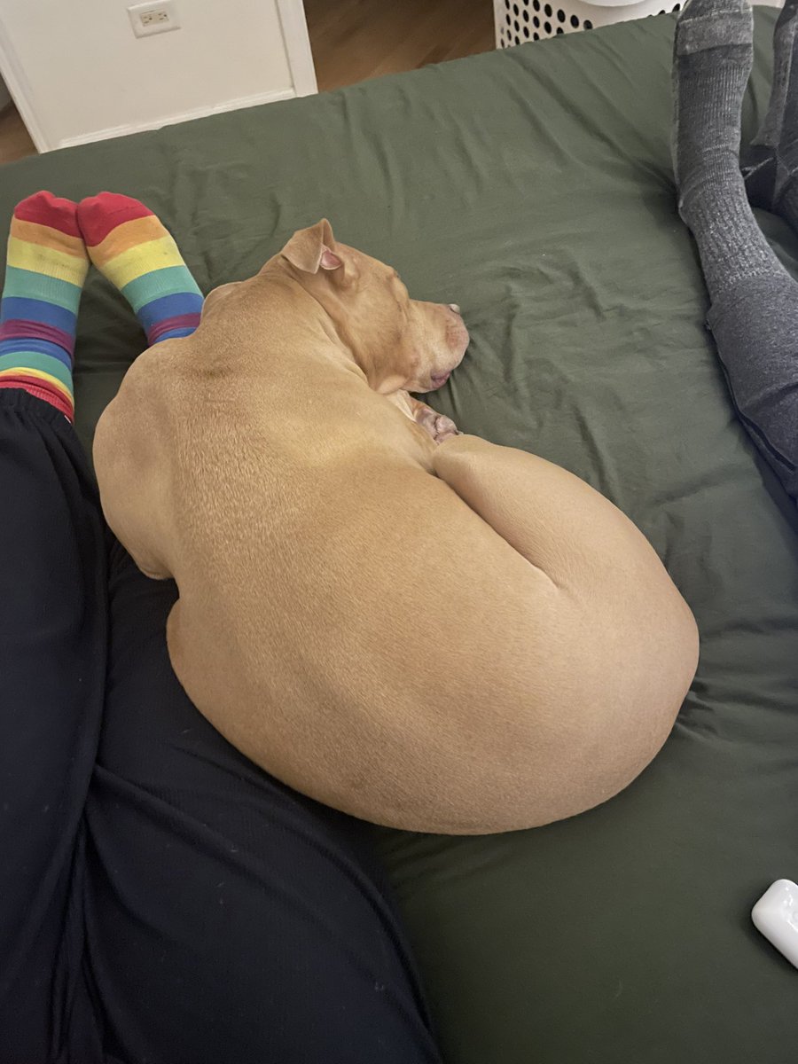 She cannot be comfy like this but she refuses to move